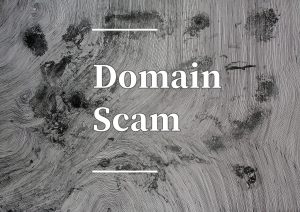 Domain Scam Awareness