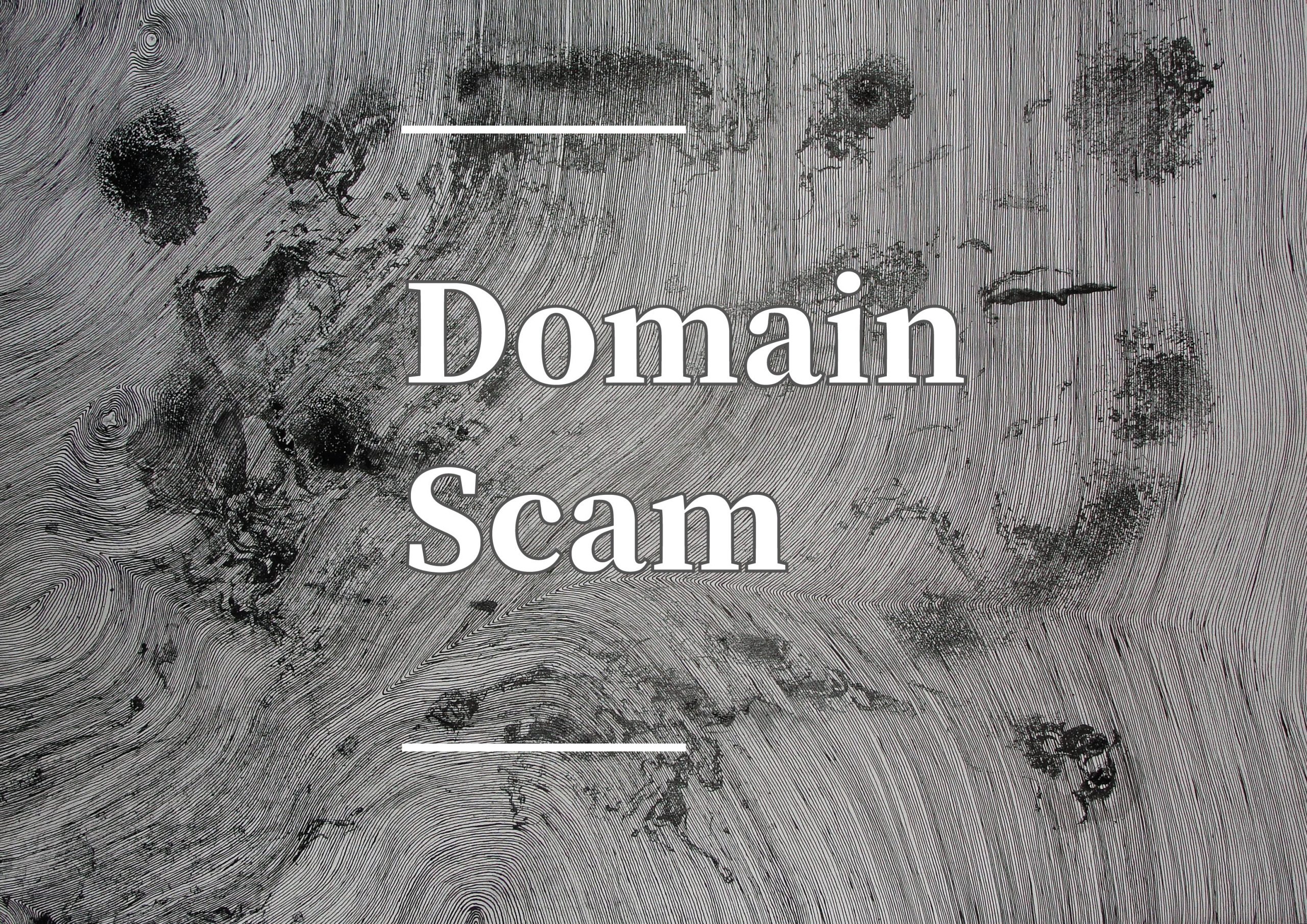 Read more about the article Domain Scam Awareness