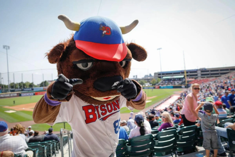 Read more about the article All About the Bisons