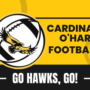 Lawn Sign Fundraiser: Go Hawks, Go!
