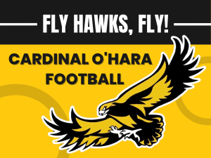 Lawn Sign Fundraiser: Fly Hawks, Fly!
