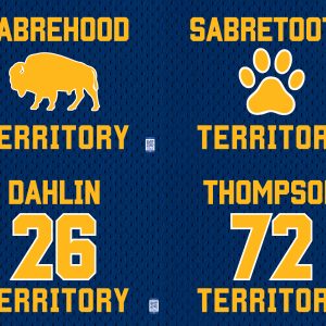 Sabre Territory Lawn Signs White Sabers